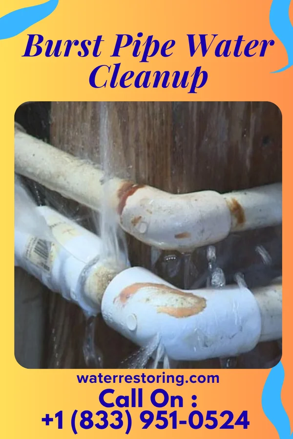 Burst Pipe Water Cleanup in Alice Acres, TX